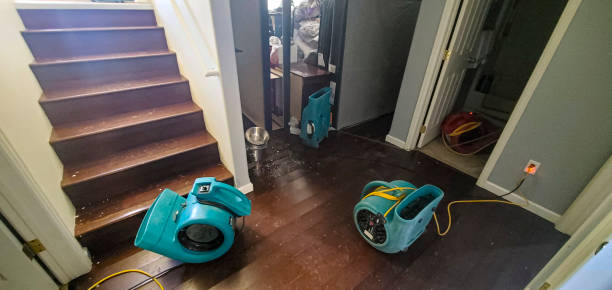 Best Fire Damage Restoration  in Corunna, MI