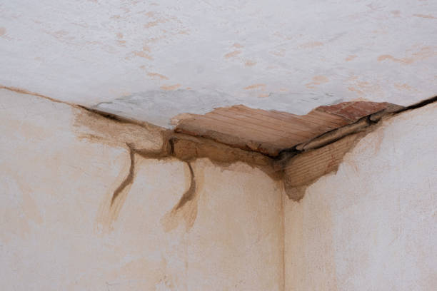  Corunna, MI Water damage restoration Pros