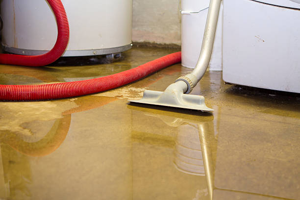 Best Carpet water damage restoration  in Corunna, MI