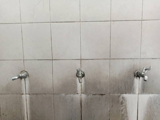 Best Water damage restoration process  in Corunna, MI