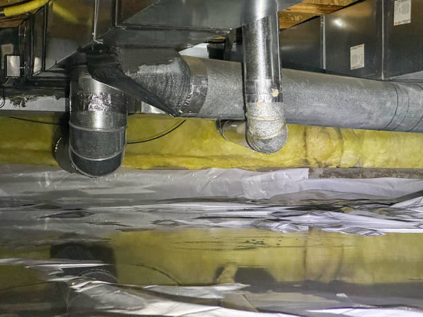 Best Flooded house restoration  in Corunna, MI