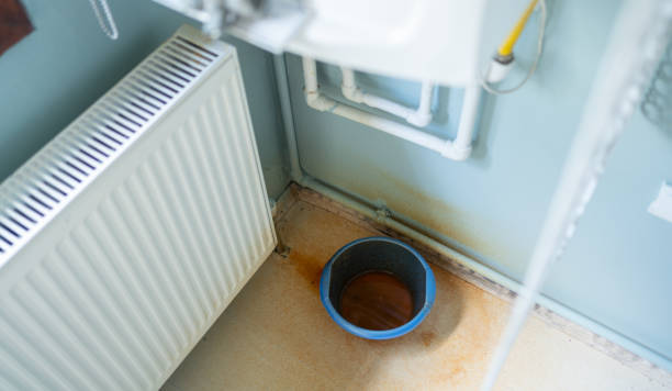 Best Sewage cleanup and water damage restoration  in Corunna, MI