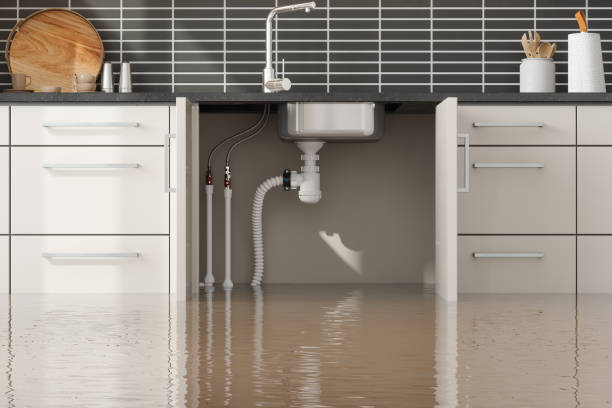 Best Flood restoration services  in Corunna, MI